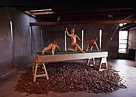 "God is a Butcher," Installation, 1996 image