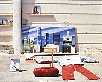 "1:1 Model L.A.," Installation, 1999 image