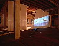 Video works, 2001 image