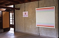 "Chameleons," Photographs, "Quilts," Sculpture, 2004 image