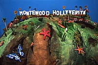 "Montewood Hollyverita," Video,  2002 image