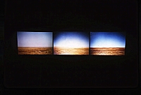 "makes a living of dreaming," and "every bump, rise and stretch," photo and video installations, 2000 image